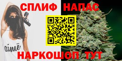 сатива Будённовск