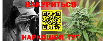 сатива Будённовск