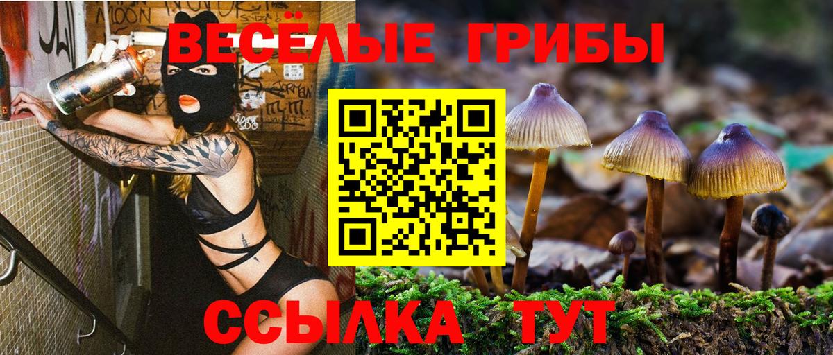Буйнакск  Галлюциногенные грибы Psilocybe  Псилоцибиновые грибы мухоморы  Вход с VPN 